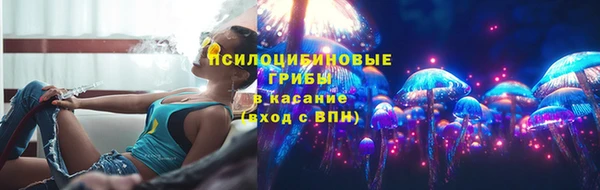 синтетический гашиш Богородицк