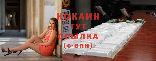 твердый Богданович