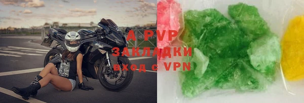 твердый Богданович