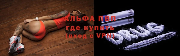 твердый Богданович