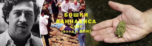 твердый Богданович